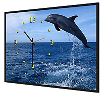 Framed custom printed gift clock with photo of dolphin.